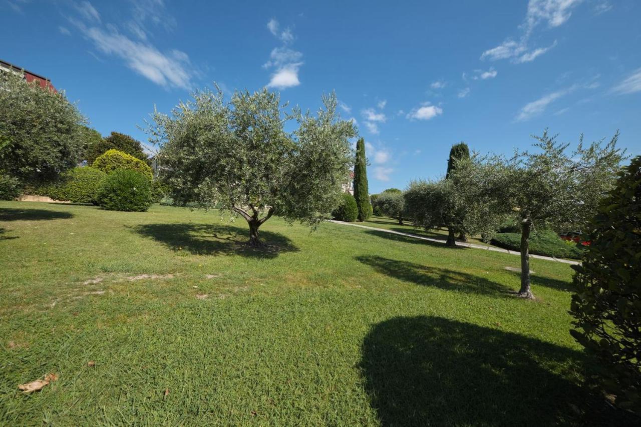 Appartamento Floriana デセンツァーノ・デル・ガルダ エクステリア 写真